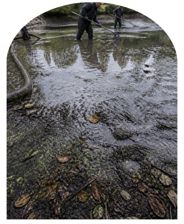 Очистка пруда в Краснокамске от ила мусора и водорослей с вывозом